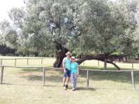 ein Bild aus dem Album